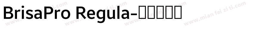 BrisaPro Regula字体转换